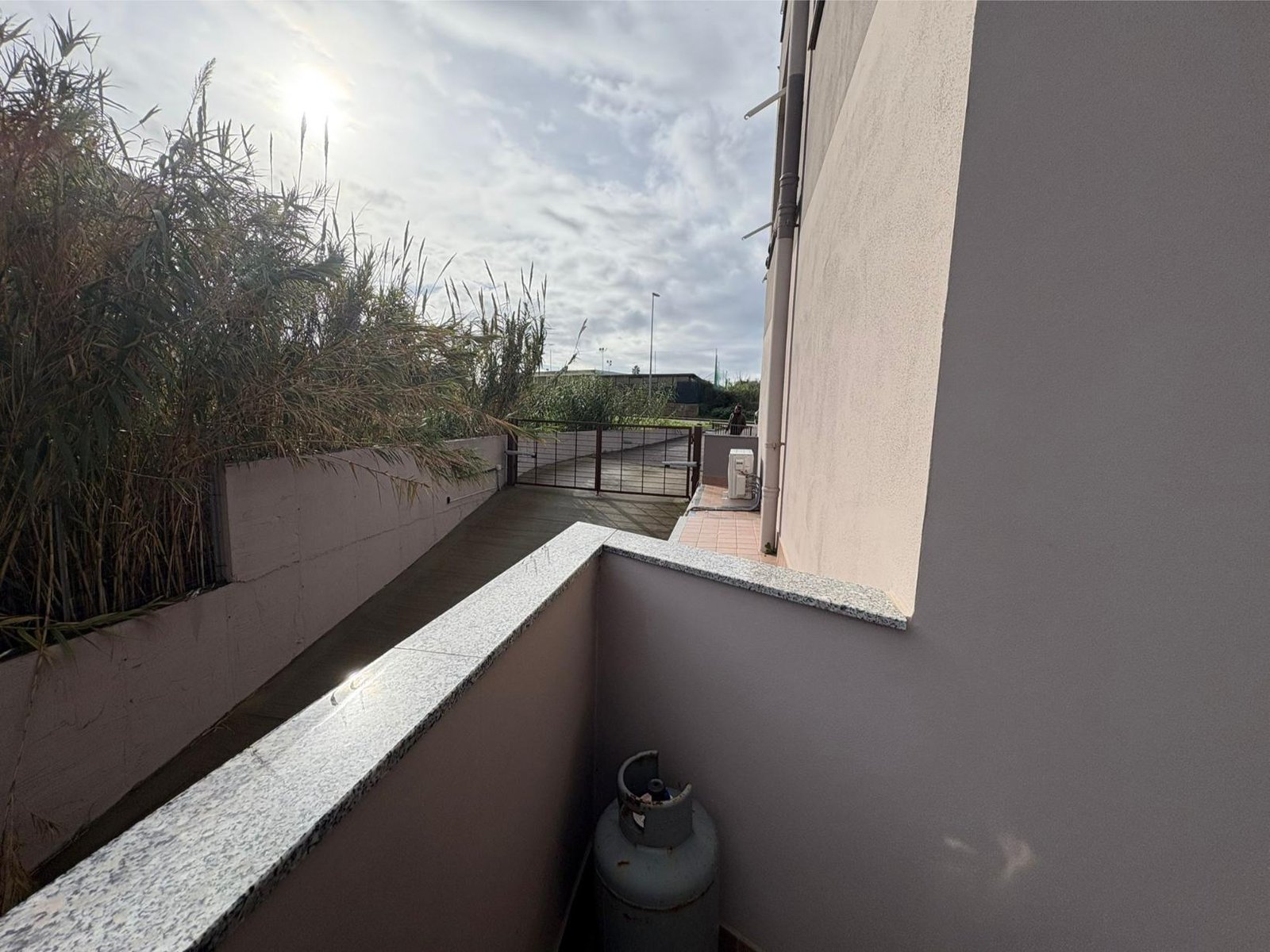 WhatsApp Image 2026-01-05 at 12.32.42 PM (1)