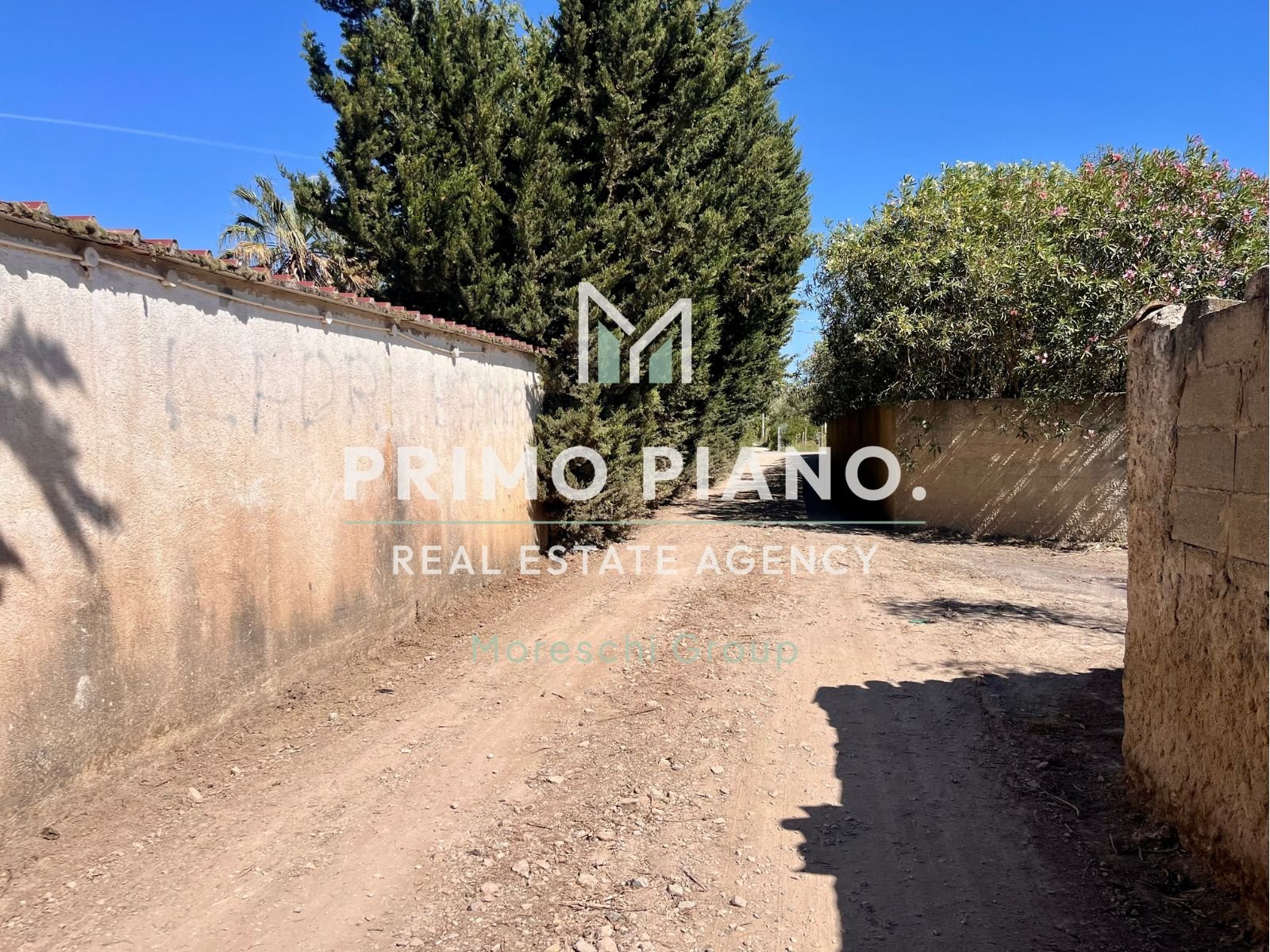 Copia di Copia di Progetto senza titolo (64) TERRENO AGRICOLO IN VENDITA