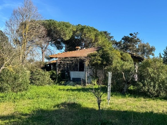 OLMEDO- Ampia casa singola con terreno di circa 7.000 mq