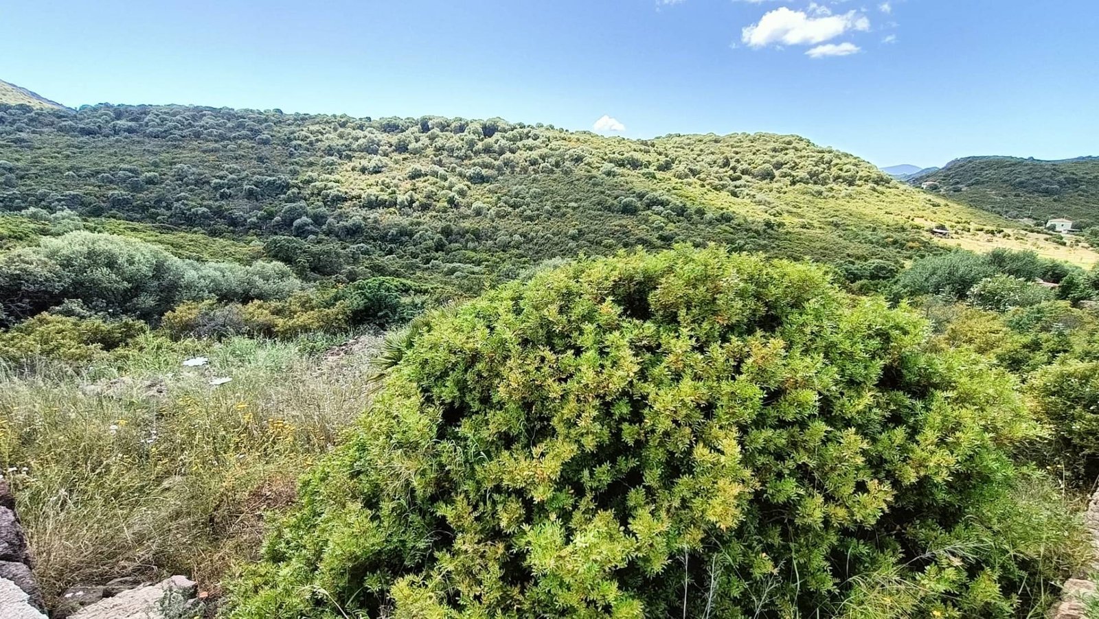 ALGHERO, TERRENO EDIFICABILE CON PROGETTO APPROVATO