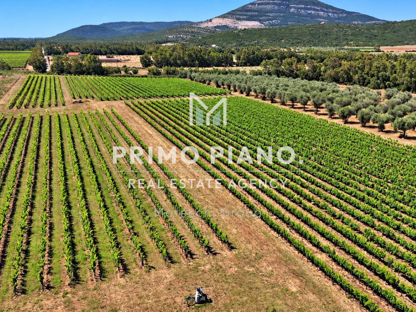 Tenuta di charme con agriturismo, vigneti e ampi spazi in vendita ad Alghero